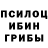 Псилоцибиновые грибы Magic Shrooms Andrey Yalymov