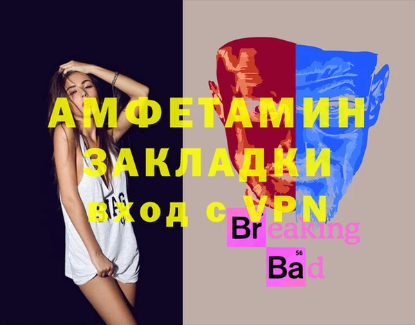 стаф Инта