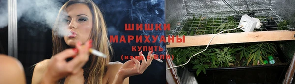 гашик Инсар