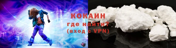 стаф Инта