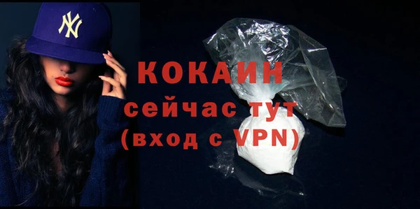 стаф Инта