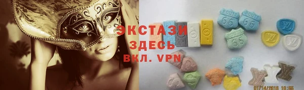 стаф Инта