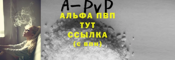 стаф Инта