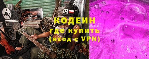 стаф Инта