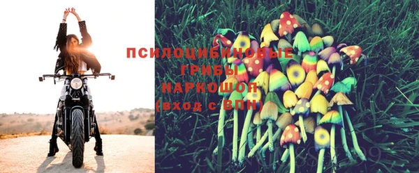 гашик Инсар