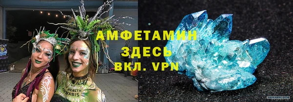стаф Инта