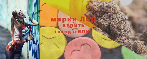 гашик Инсар