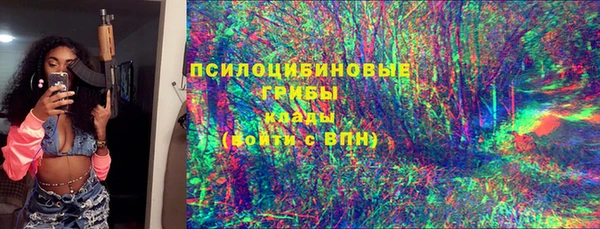 гашик Инсар