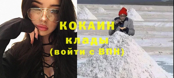гашик Инсар