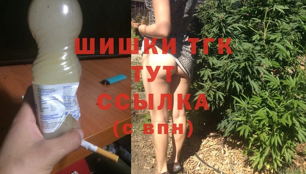 гашик Инсар