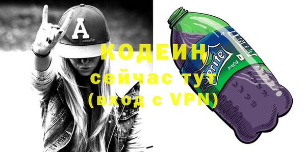 стаф Инта