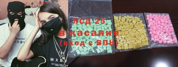 стаф Инта