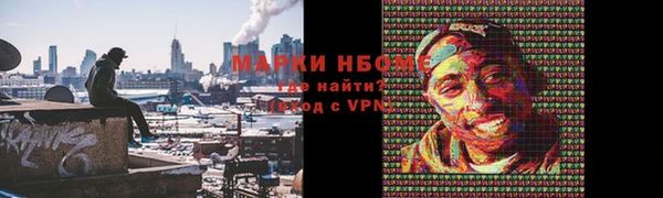 стаф Инта