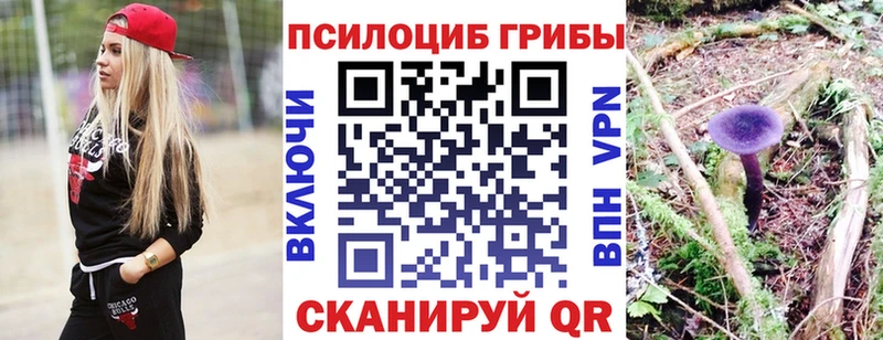 Псилоцибиновые грибы ЛСД  Купить закладки  Ипатово 