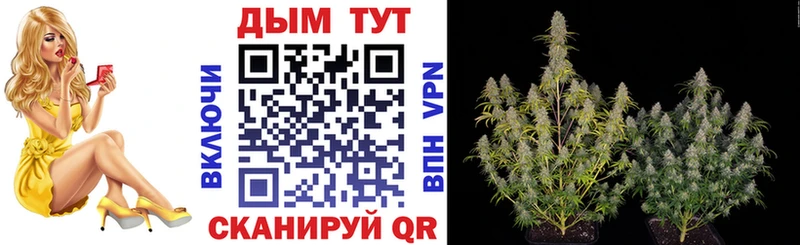 Каннабис THC 21%  Купить где  Ипатово 